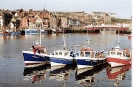 Whitby_4